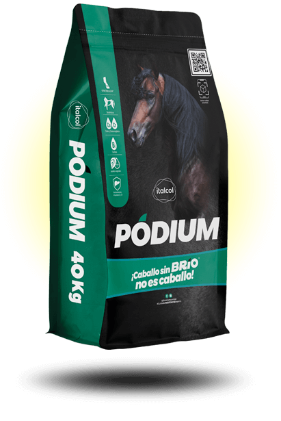 Podium