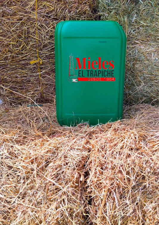 Garrafas Melaza Trapiche