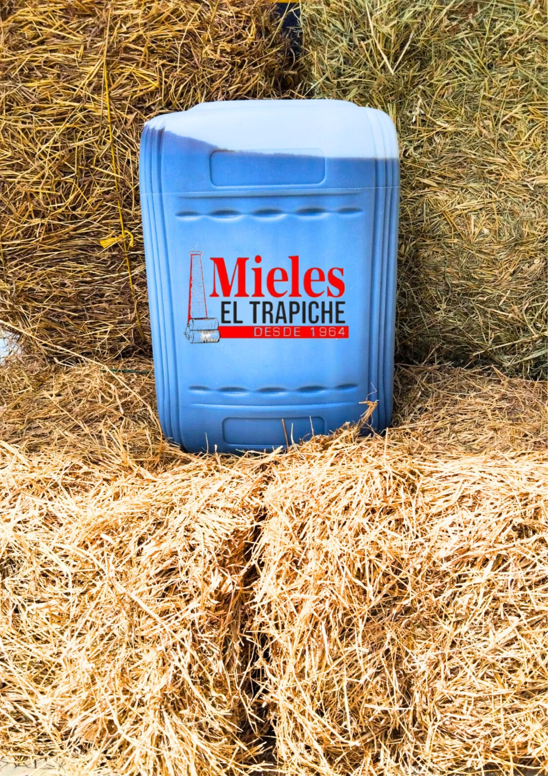 Garrafas Melaza Trapiche