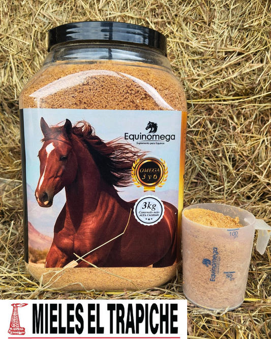 Equinomega