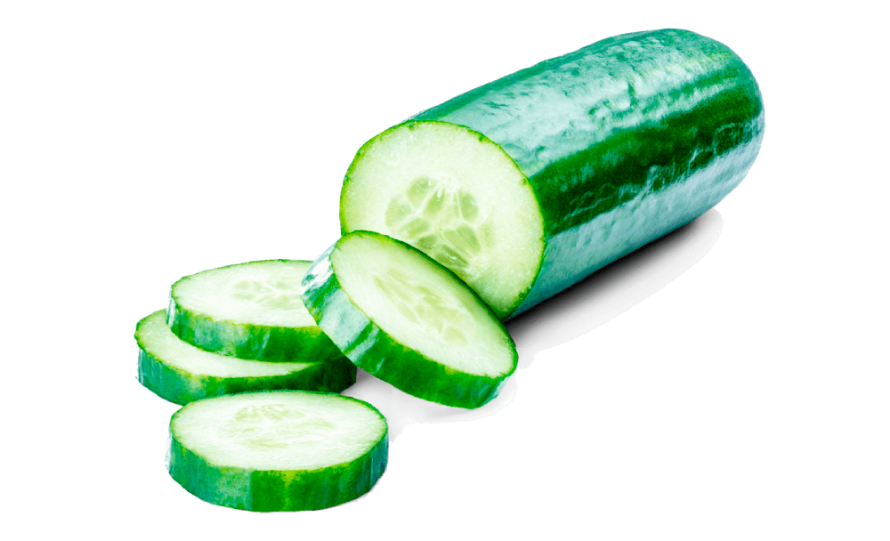 Pepino Poinset 76