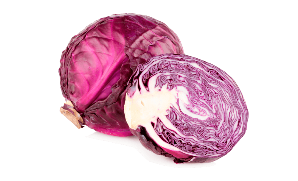 Repollo morado red Acre