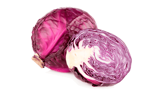 Repollo morado red Acre