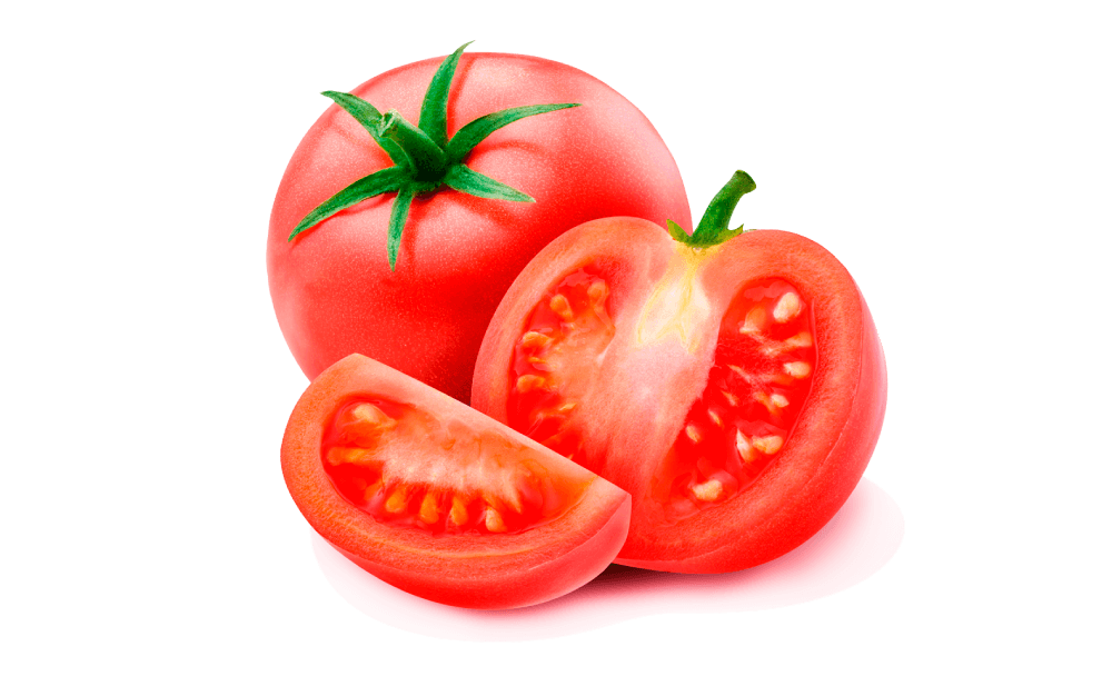 Tomate Santa Clara