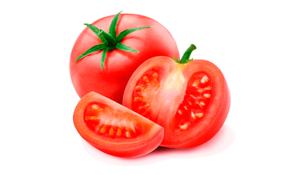 Tomate Santa Clara