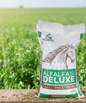 Alfalfa Pellet