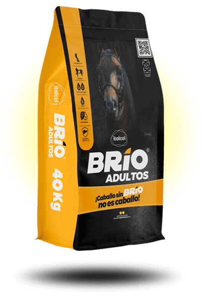 Brio Adulto