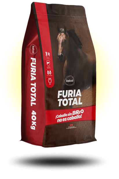 Furia Total