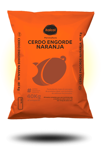 Cerdo Engorde Naranja 40 Kg