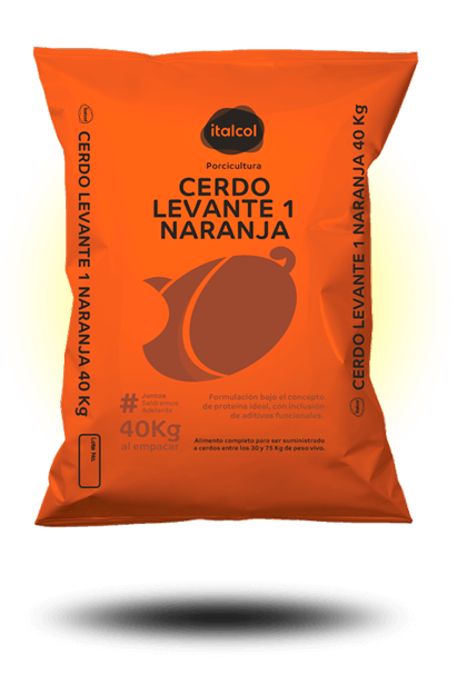 Cerdo Levante 1 Naranja 40 Kg